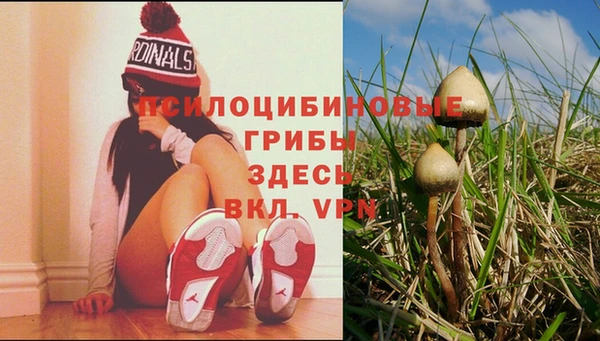 гашишное масло Гусь-Хрустальный