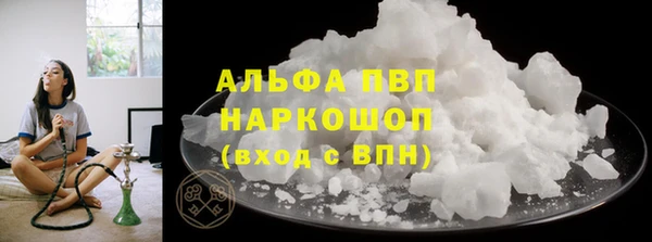 СК Гусев